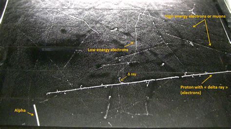 Here’s How You Can Build Your Own Cloud Chamber to Detect Cosmic Rays