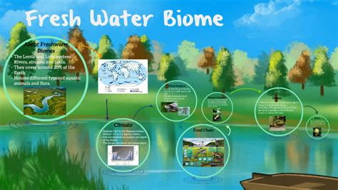 Freshwater Lake Biome Food Web