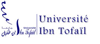 Ibn Tofail University | Tethys Engineering