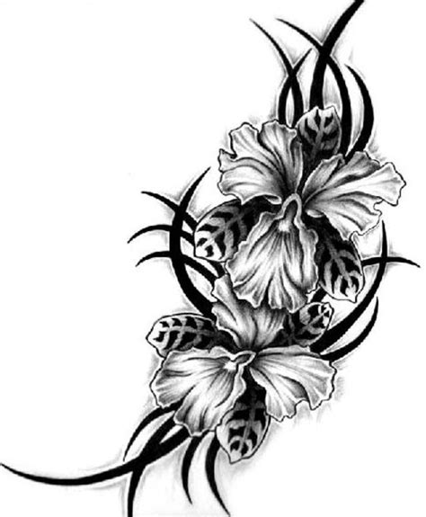 Hawaii Flower Drawing - ClipArt Best