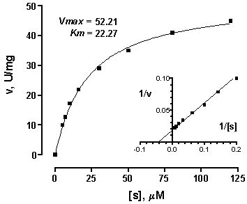 How To Find Vmax On A Lineweaver Burk Plot - PELAJARAN