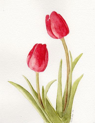 Tulip Flower Painting