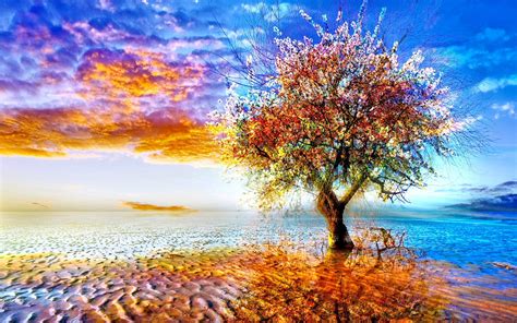 Colorful Tree Wallpaper - BRENOGARRA