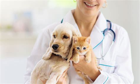 Animal Health Care – The Animal Care