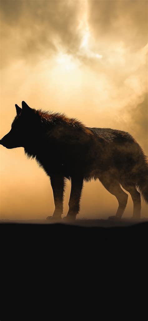 1125x2436 Wolf Dark Night 5k Iphone XS,Iphone 10,Iphone X ,HD 4k Wallpapers,Images,Backgrounds ...