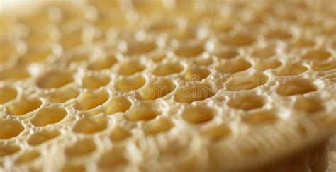 A Closeup of the Extrusion Disc with Small Holes Used To Create Intricate and Textured Pasta ...