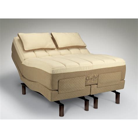 Tempur-Pedic TEMPUR-Ergo Adjustable Bed & Reviews | Wayfair