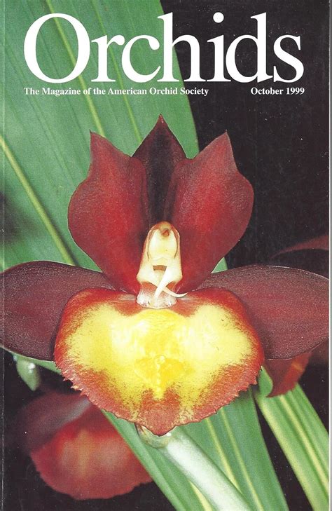 Orchids Magazine - The Bulletin of the American Orchid Society: Growing ...