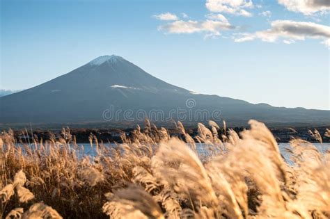 Mount Fuji at Lake Kawaguchi, Japan Stock Image - Image of fuji, beauty: 64667613