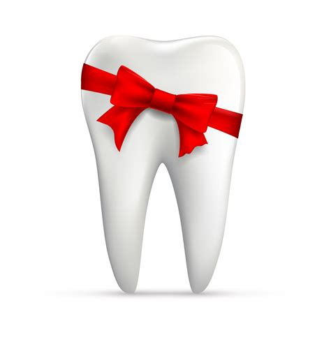 Download Full Resolution of Clean Tooth Transparent PNG | PNG Mart