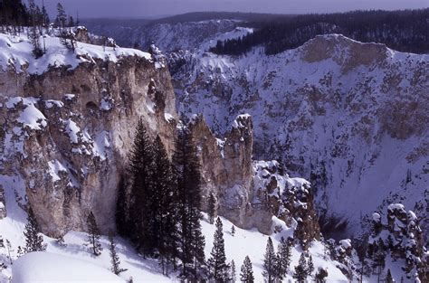 Yellowstone Digital Slide File