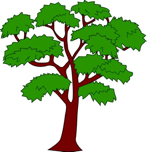 Mahogany tree - Openclipart