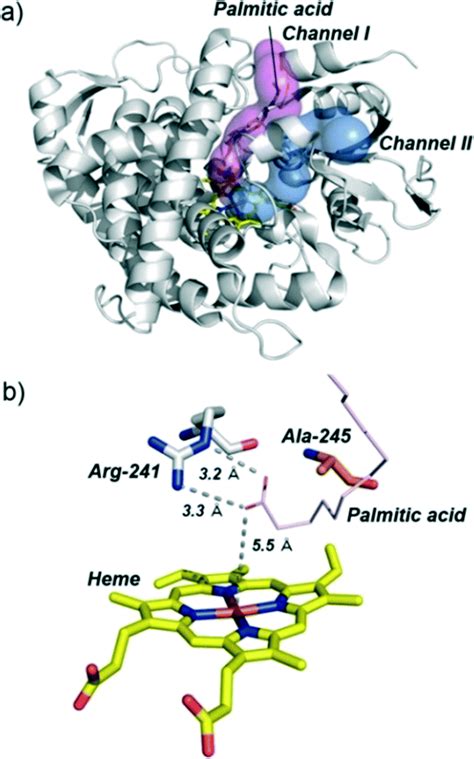 A substrate-binding-state mimic of H 2 O 2 -dependent cytochrome P450 produced by one-point ...