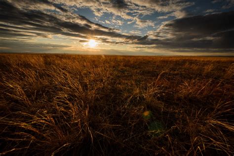 Mongolian Grasslands - IMB