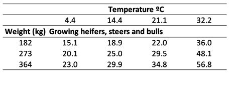 Optimizing Cattle Feed: Essential Nutrition Requirements for Beef Cattle