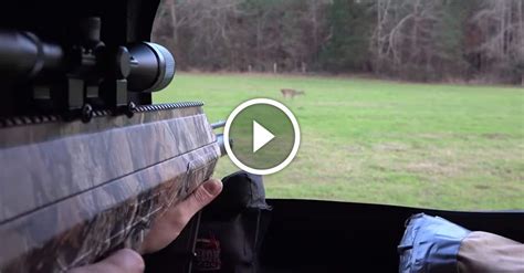 New AIR GUN takes deer down as good or better than a rifle - GetZone