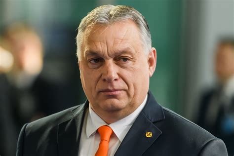 Hungary: Orban calls for stronger army to ensure peace amid EU crisis ...