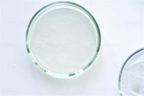 glass Petri dish on a laboratory table. 8384120 Stock Photo at Vecteezy