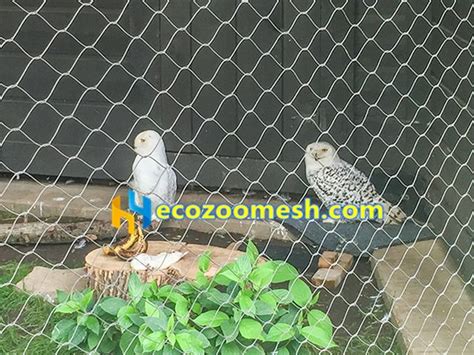 Bird Cage Wire Mesh, Aviary Wire Mesh, Bird Netting | Choose and Build