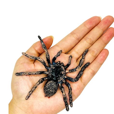 Buy Giant Realistic Spider, Fake Spider, Spider Action Model Lifelike ...