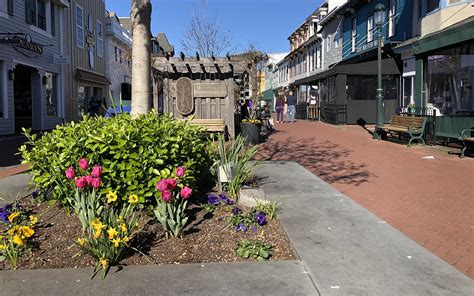 Spring is in the Air in the Heart of Cape May | Washington Street Mall ...