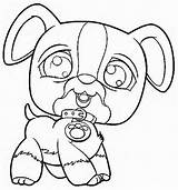 Prairie Dog Coloring Page sketch template