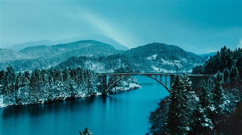 Beautiful Bridge Between Lake In Forest 4k, HD Nature, 4k Wallpapers ...