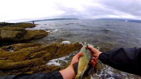 (LRF) Sea BASS & Pollock Fishing | Loch Long | Scotland - YouTube