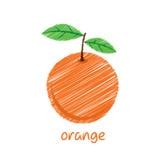 Sketch Of An Orange Fruit Stock Vector - Image: 54838256