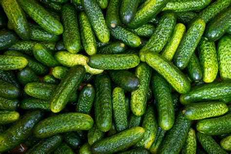 Gherkins: Pickled Cucumbers With a Fancy Name – Recette Magazine