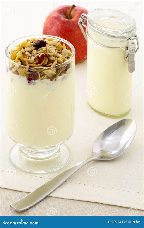 Healthy and Delicious Parfait Stock Photo - Image of milk, granola: 23954172