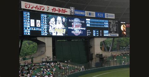 Hanshin Tigers vs Saitama Seibu Lions, 7 June 2024 - Tickets & Event ...