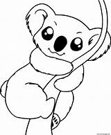 Cute Koala Climbing The Tree Coloring Page Printable sketch template