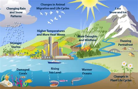 The Impact of Climate Change on Caribbean Business | Antilles Economics