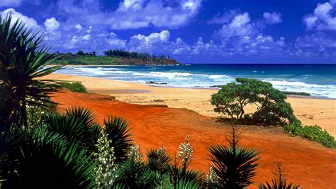 Free Wallpaper Hawaii Beach Scenes - WallpaperSafari