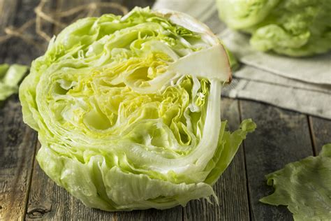 Lechuga Iceberg » Huerto en casa