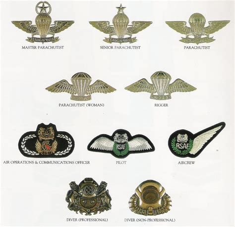 Insignia , Awards And Decorations Of The Singapore Armed Forces - South East & East Asia ...