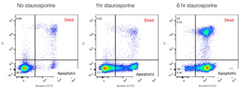 Flow Cytometry Apoptosis | Bio-Rad