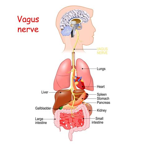 Nerve Damage Is a Complex and Catastrophic Injury - Larson Law