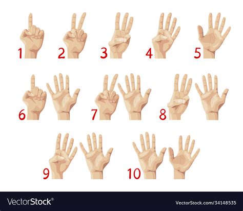 Finger count hand showing numbers from one to ten Vector Image