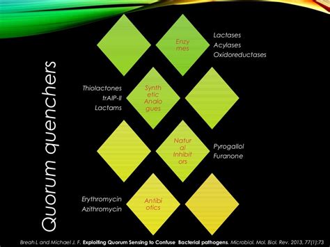 Quorum Sensing- An Introduction