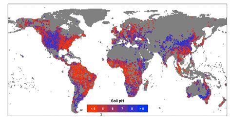 Researchers create global map of soil pH and illuminate how it changes between wet and dry climates