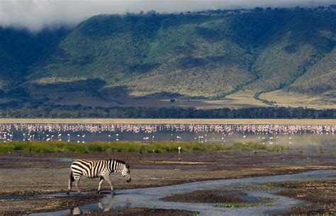 Ngorongoro Crater Conservation Area —Evans Adventure Safaris