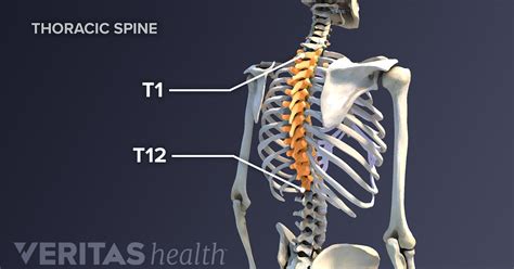 T12 - blog.knak.jp