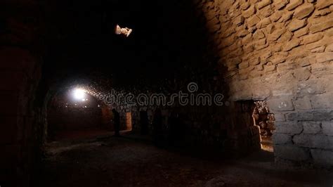 Inside Jordanian Ancient Kerak Castle. Stock Photo - Image of kerak ...