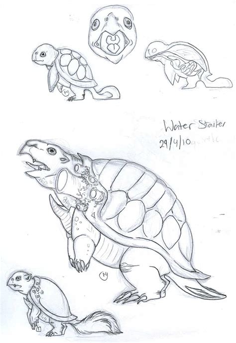 Squirtle Evolution by LeeDassin on DeviantArt