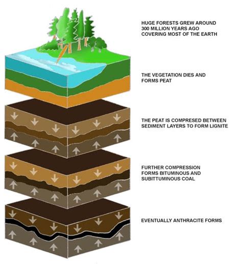 People for the Protection of Mountains: On the formation of coal