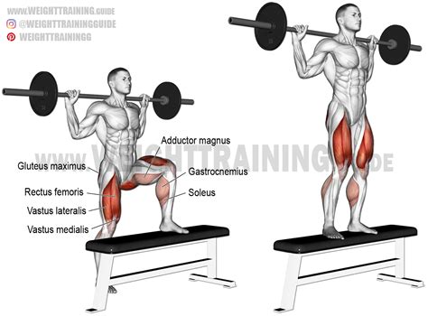 Barbell step-up exercise instructions and video | Weight Training Guide | Step up workout, Lower ...