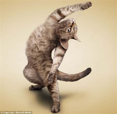 Skippetty Street: Not So Fast! Yoga CatZ Before I Go!