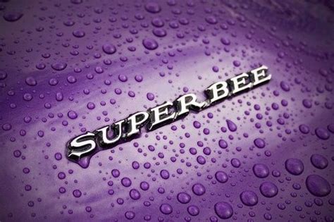 Superbee | Dodge super bee, Car emblem, Car badges